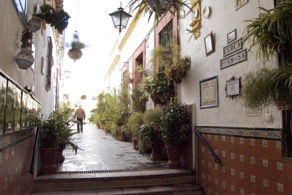 Tipico Y Pintoresco Patio De Vecinos, Con Encanto Séville Extérieur photo